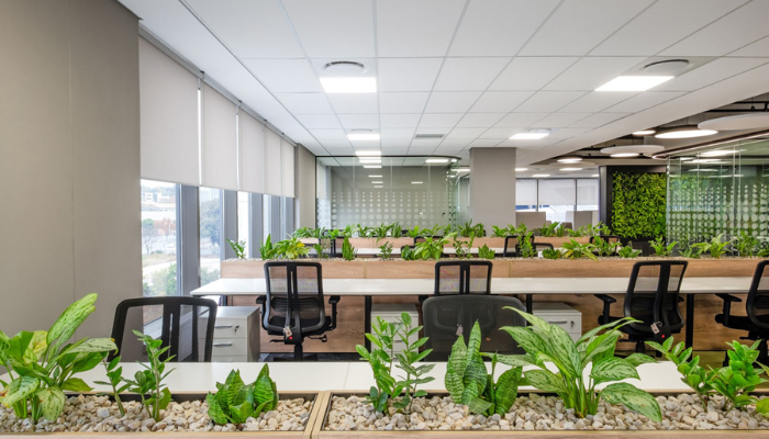 Không gian linh hoạt và công năng tối ưu